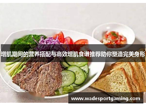 增肌期间的营养搭配与高效增肌食谱推荐助你塑造完美身形