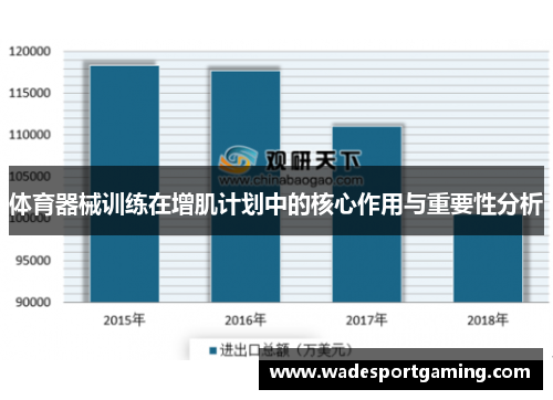 体育器械训练在增肌计划中的核心作用与重要性分析
