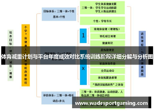 体育减重计划与平台年度成效对比系统训练阶段详细分解与分析图